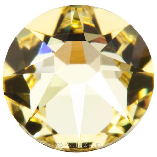 2058 ss 6 Jonquil F