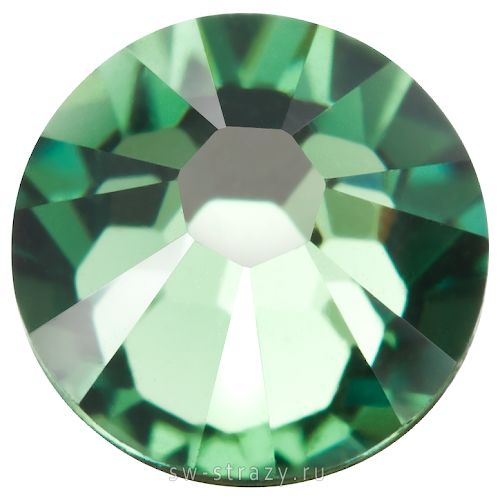 2058 ss 5 Erinite F